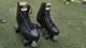 Riedell Fame Roller Skates Riedell Size 9
