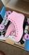 Nouvelles Patins En Cuir D'extérieur Pastel Pink Sure-grip Boardwalk Hommes 9 Ou Femmes 10